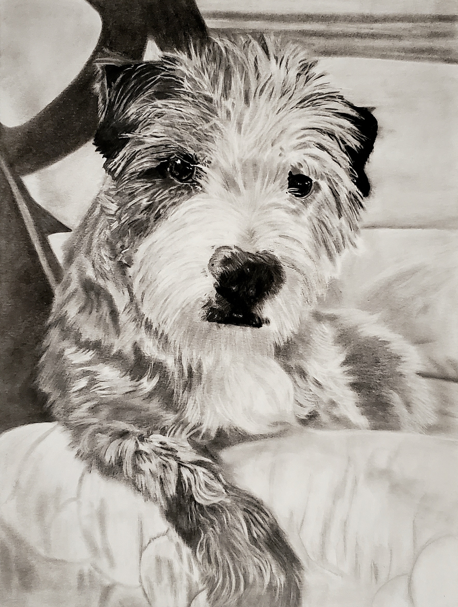 Graphite Portrait Example
