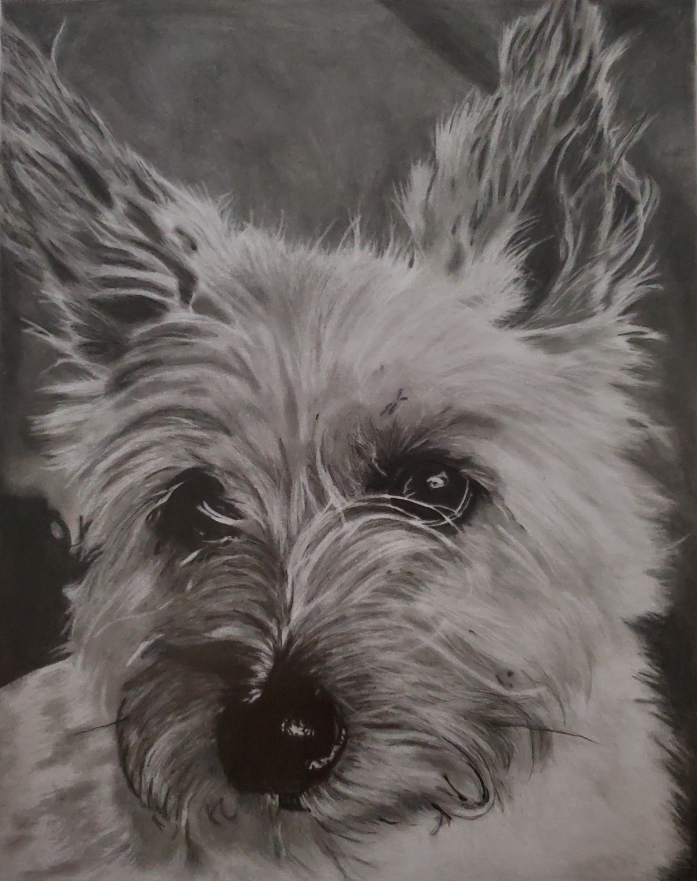 Graphite Portrait Example