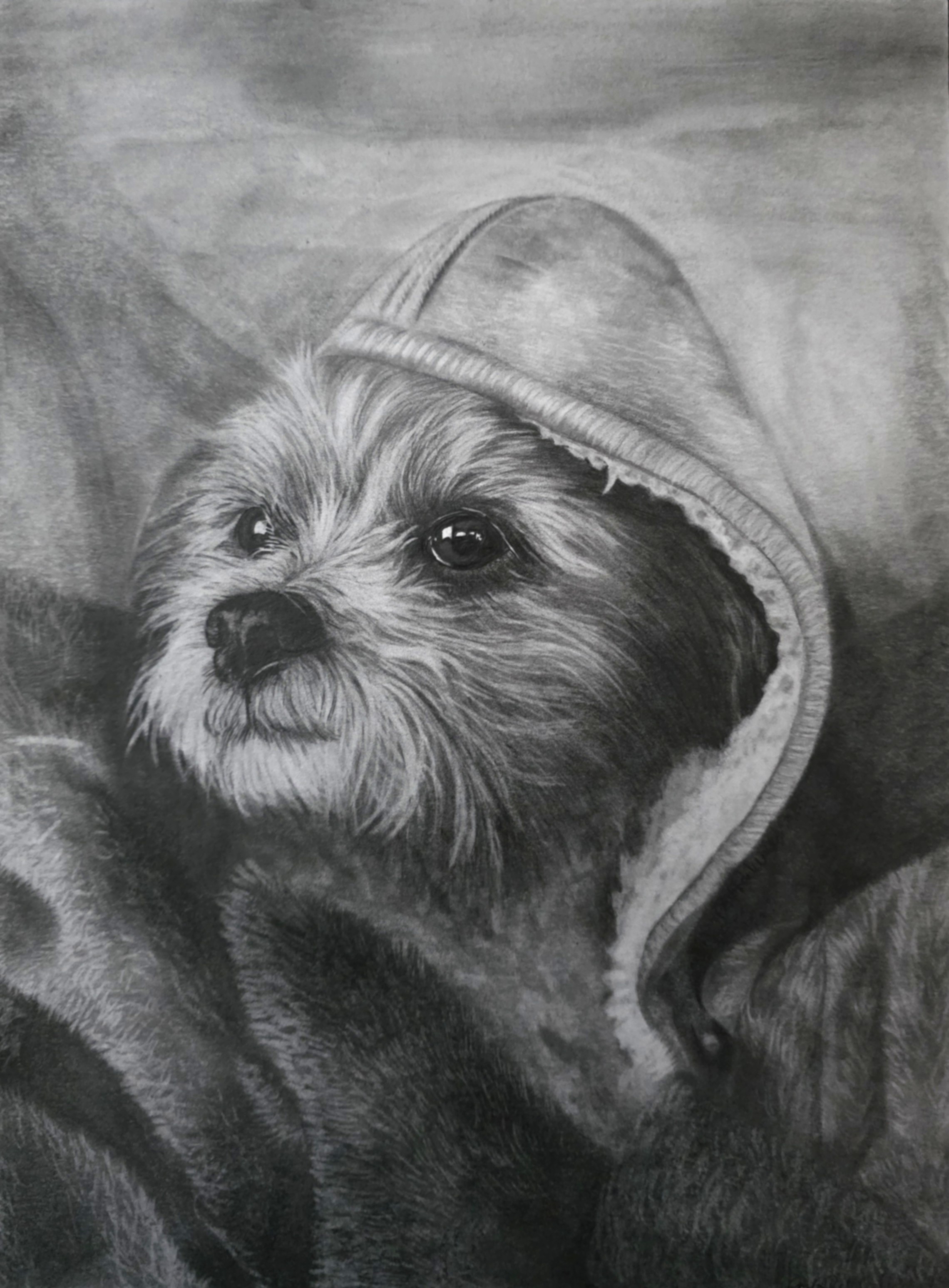 Graphite Portrait Example