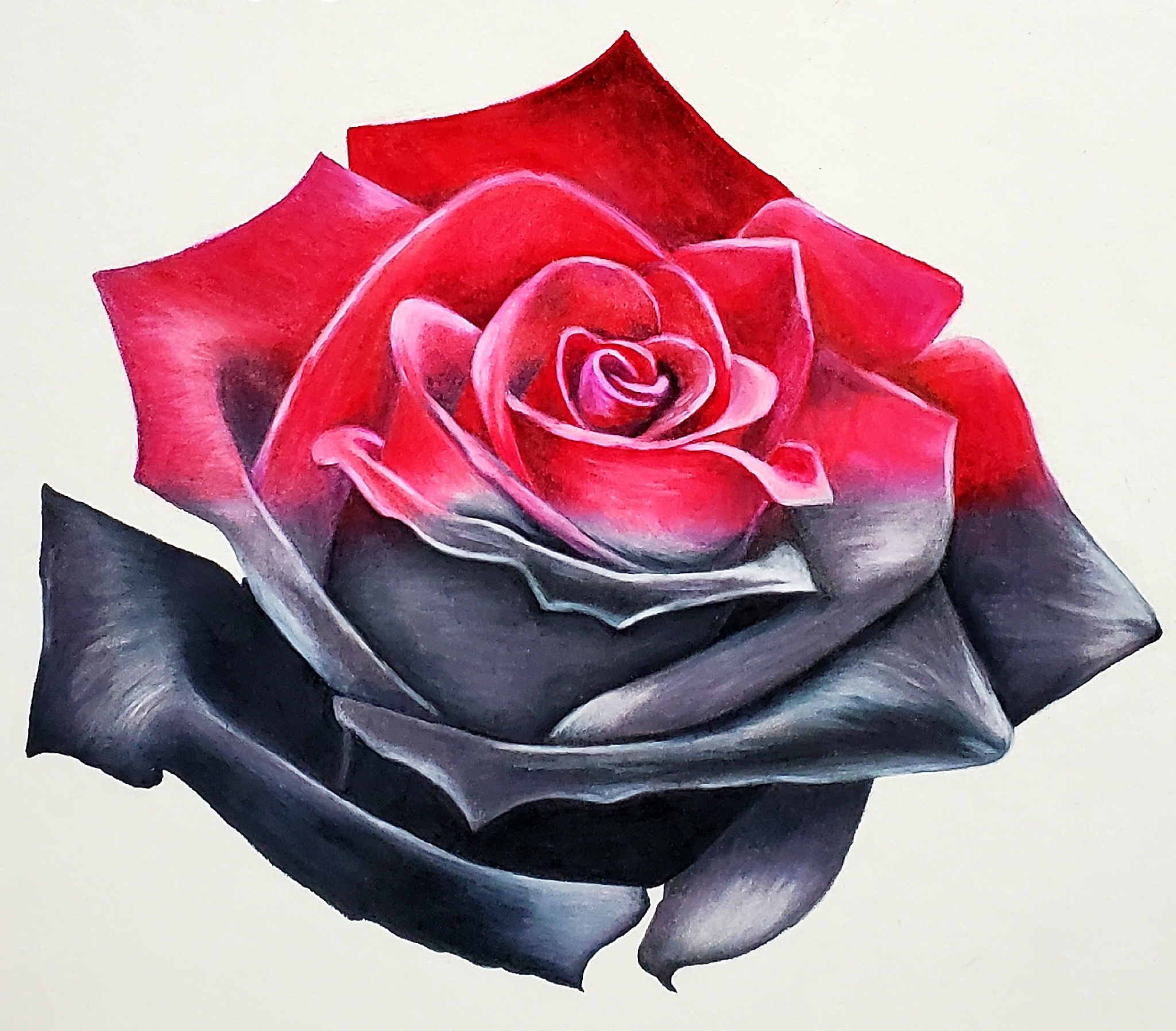 Original Colored Pencil Artwork