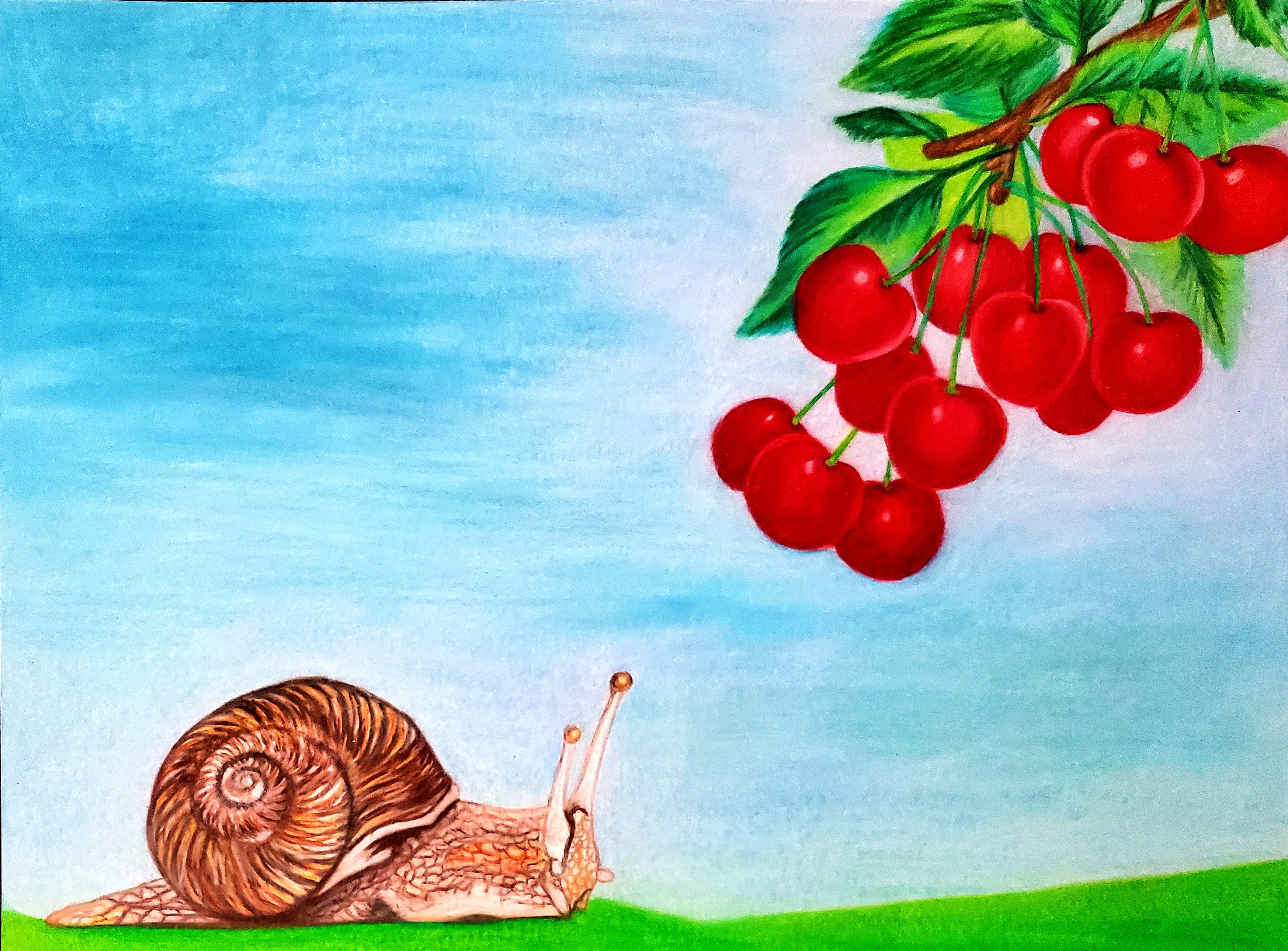 Original Colored Pencil Artwork